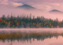 KAIYUN体育平台手机端-包含里程碑夜！纽约尼克斯门线救险，CBA常规赛国际比赛日刷纪录，悬念犹存，年轻球员得到机会的词条